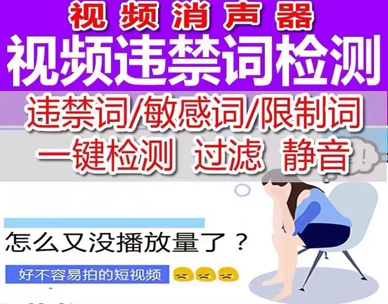 消声客——视频违禁词检测与一键静音神器