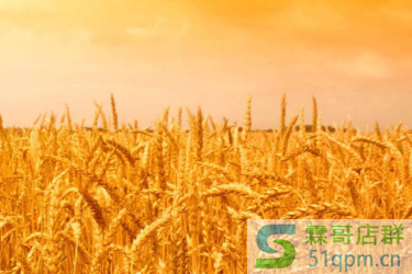 2020年淘宝新势力周秋什么时候报名？整体时间节奏安排