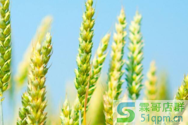 2020年淘宝新势力周秋跨店满减怎么设置？跨店满减卖家设置要求