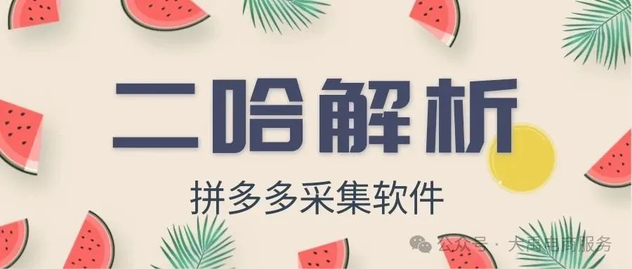 二哈解析：拼多多采集神器，实时数据解析，好用到超乎想象！